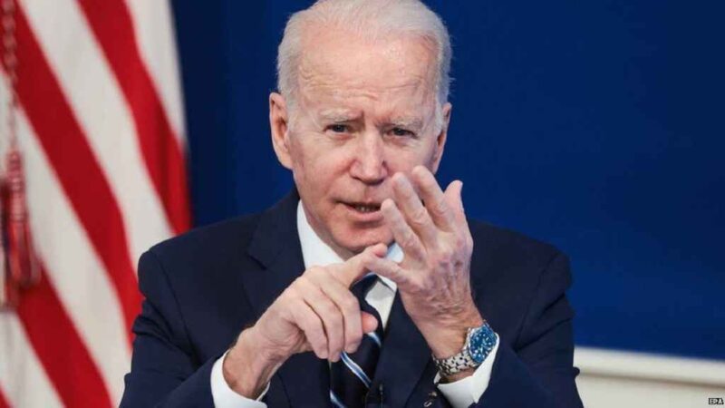 The Tree Counters in the Biden Forest